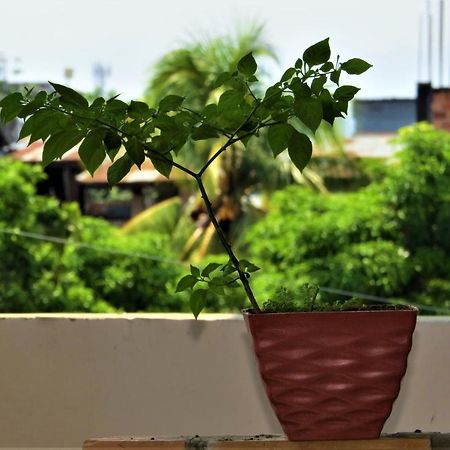 Flor Del Valle Posada Tarapoto Dış mekan fotoğraf
