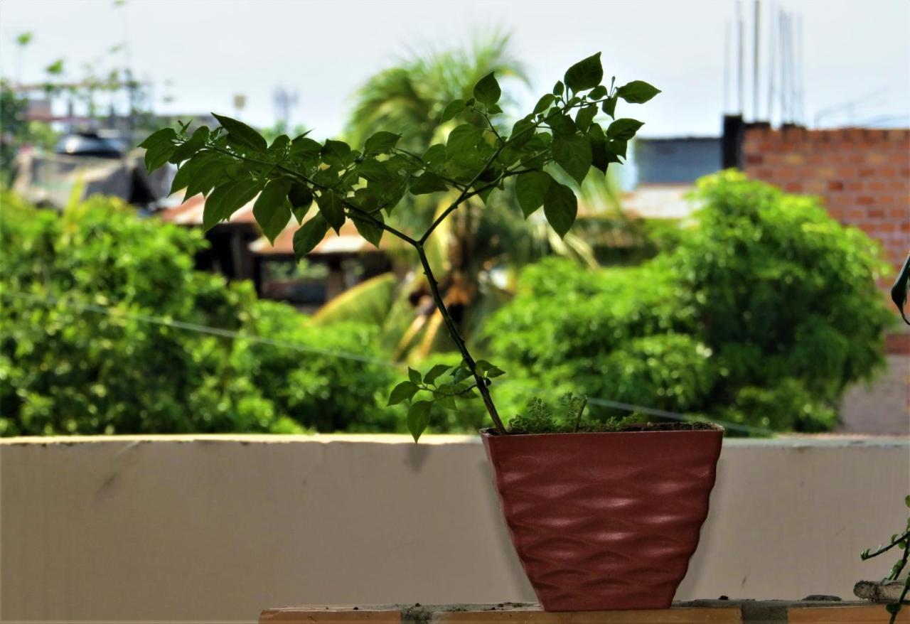 Flor Del Valle Posada Tarapoto Dış mekan fotoğraf